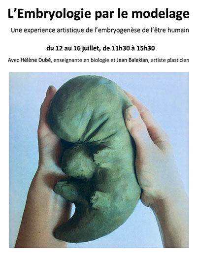 affiche embryologie