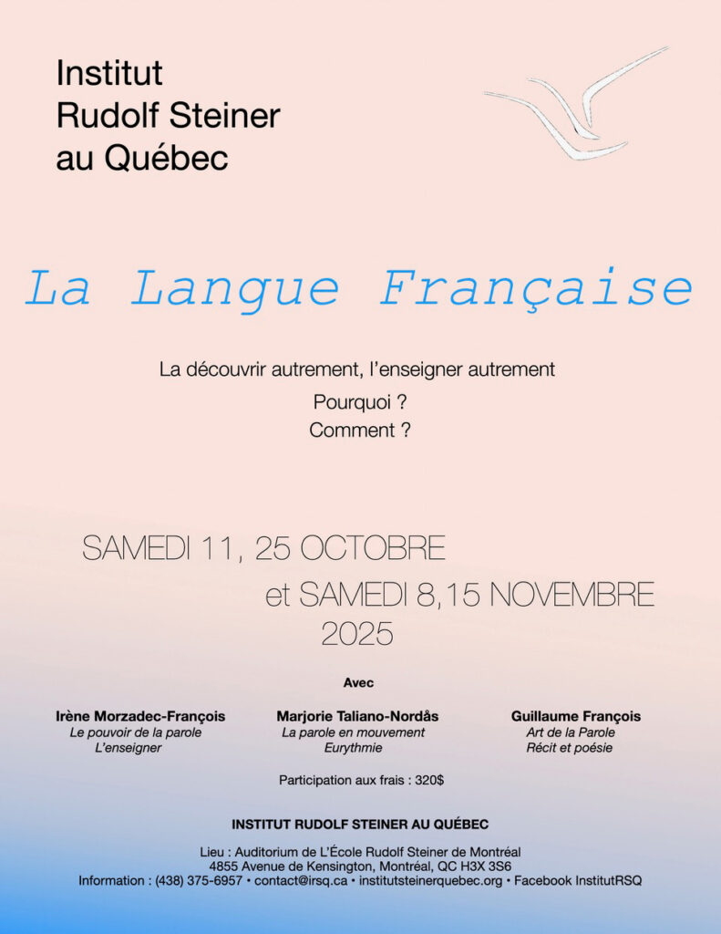 Affiche description de l'atelier sur la langue française